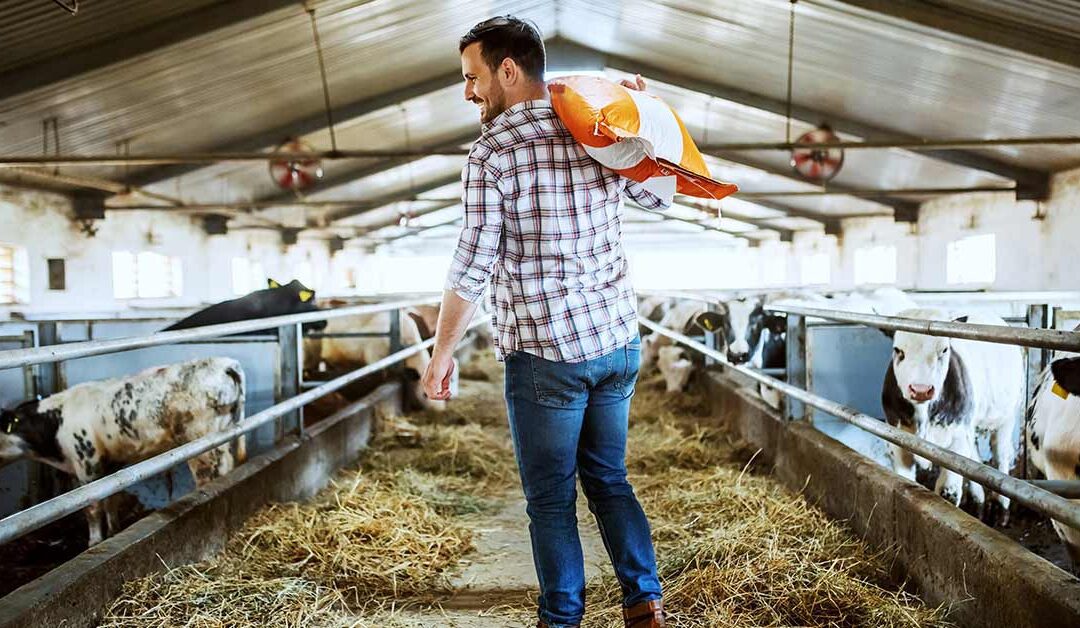 Using Monitored Surveillance to Improve Farm Security